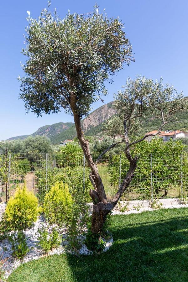 Two Olive Trees Apartment Psathopyrgos Exterior photo
